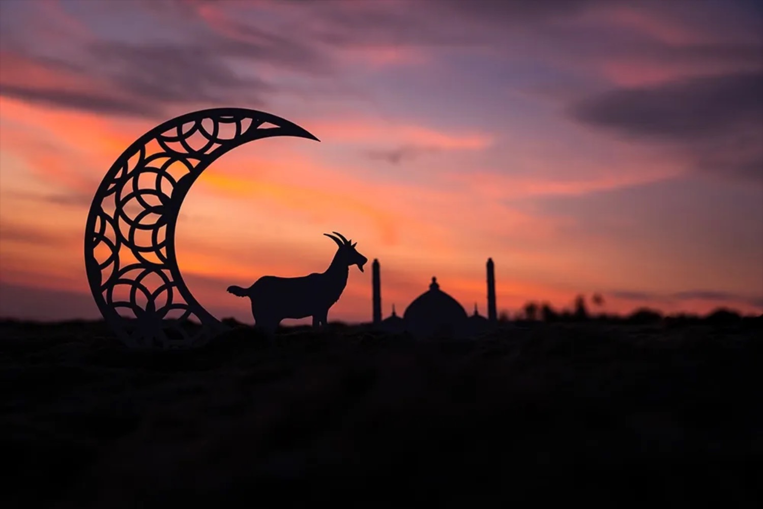 Les Émirats annulent des millions de dettes pour l’Eid al-Adha | Die Geissens Real Estate | Luxus Immobilien mit Carmen und Robert Geiss – Die Geissens in Dubai