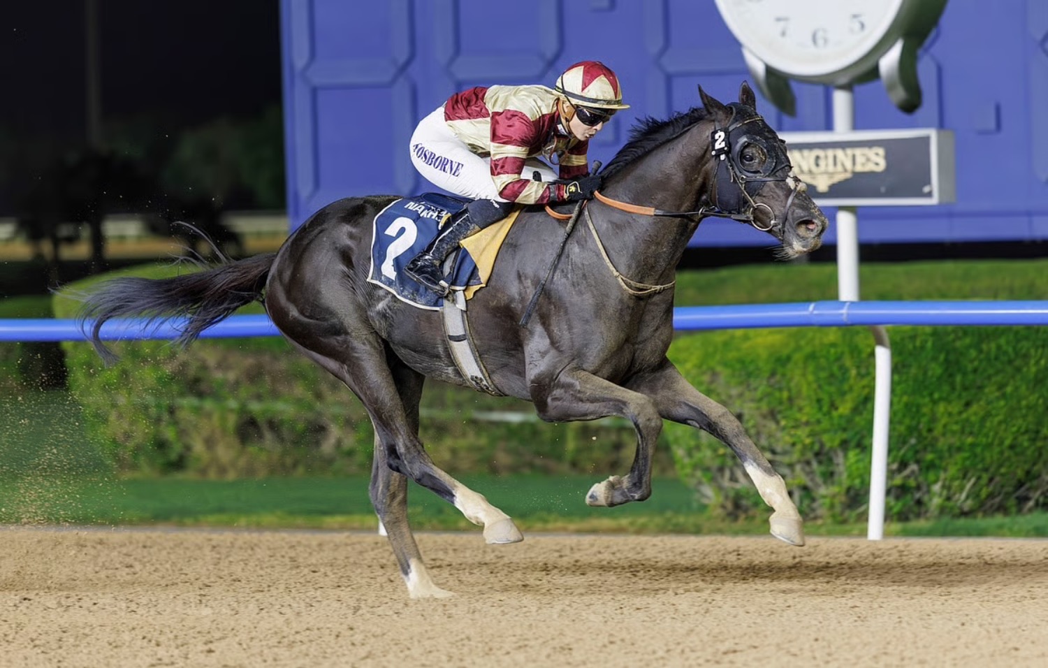 Dubai Racing Carnival : 300 chevaux de 19 pays à Meydan | Die Geissens Real Estate | Luxus Immobilien mit Carmen und Robert Geiss – Die Geissens in Dubai